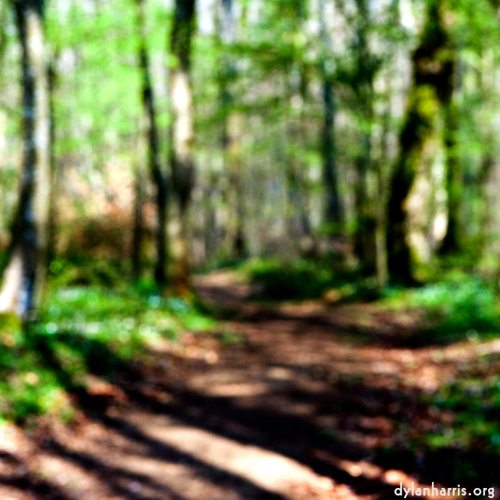 image: This is &lsquo;wood (xlii) 5&rsquo;.