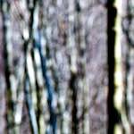 image: zehn fotogruppen von den escher rote l&auml;nden