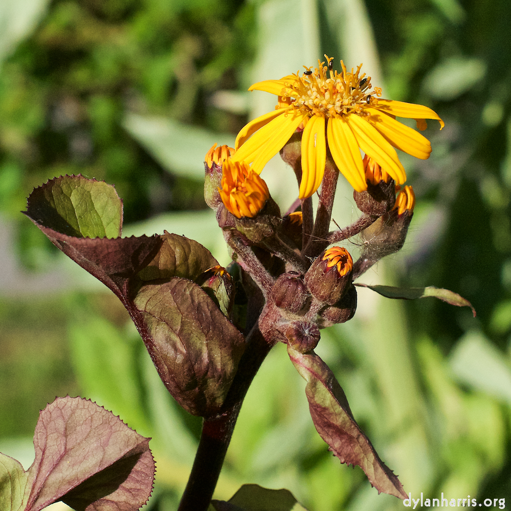 image: Russ&rsquo;s & Liz&rsquo;s wedding