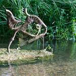 Second image from the photoset 'bagnor'.