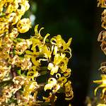 Fifth image from the photoset 'bagnor'.