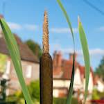 Sixth image from the photoset 'bagnor'.