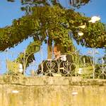 image: Image from the photoset &lsquo;parc (xxxii)&rsquo;.