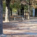 image: Image from the photoset &lsquo;parc (xxxii)&rsquo;.