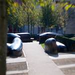 image: Image du photoset &lsquo;parc (xli)&rsquo;.