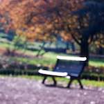 image: Image du photoset &lsquo;parc (xli)&rsquo;.