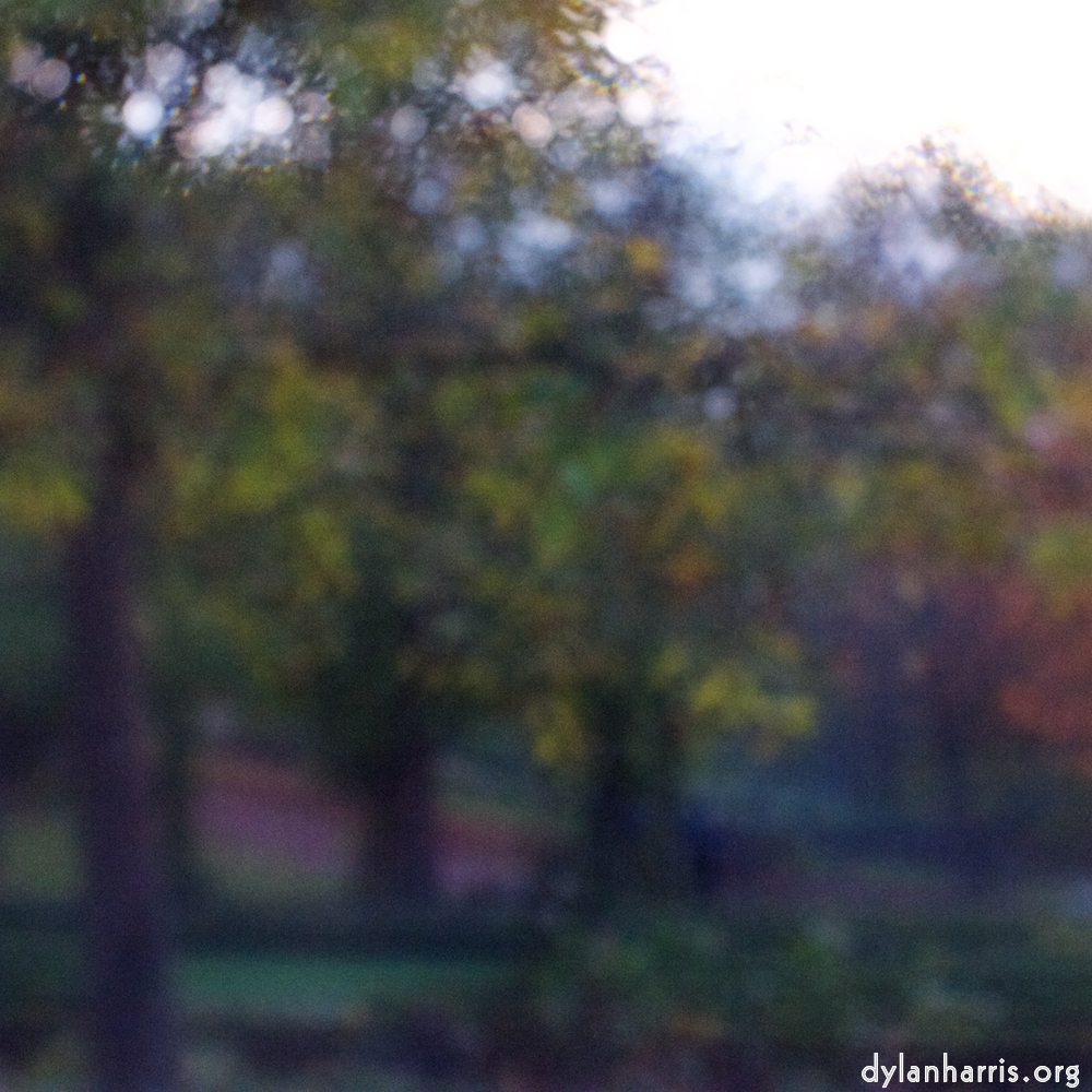 image: Voici &lsquo;parc (xlii) 3&rsquo;.