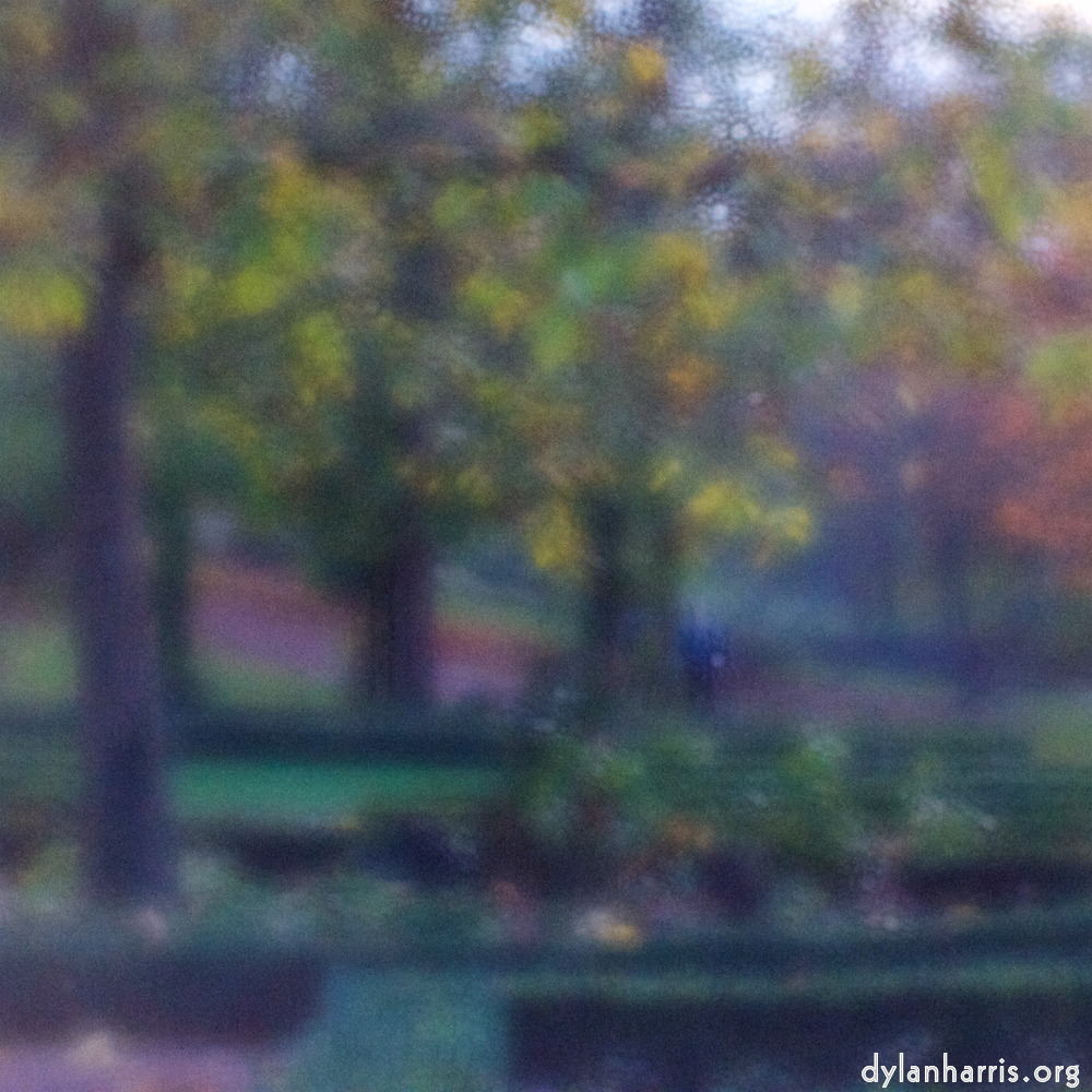 image: Voici &lsquo;parc (xlii) 4&rsquo;.