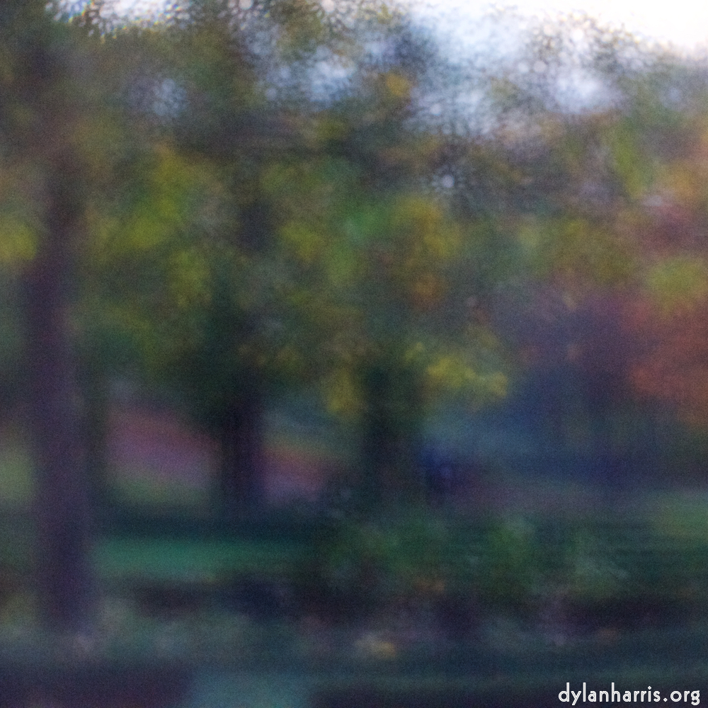 image: Voici &lsquo;parc (xlii) 5&rsquo;.