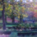 image: Image du photoset &lsquo;parc (xlii)&rsquo;.