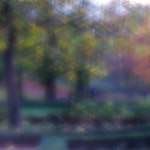 image: Image du photoset &lsquo;parc (xlii)&rsquo;.