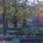 image: Image du photoset &lsquo;parc (xlii)&rsquo;.