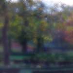 image: Image du photoset &lsquo;parc (xlii)&rsquo;.