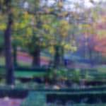 image: Image du photoset &lsquo;parc (xlii)&rsquo;.