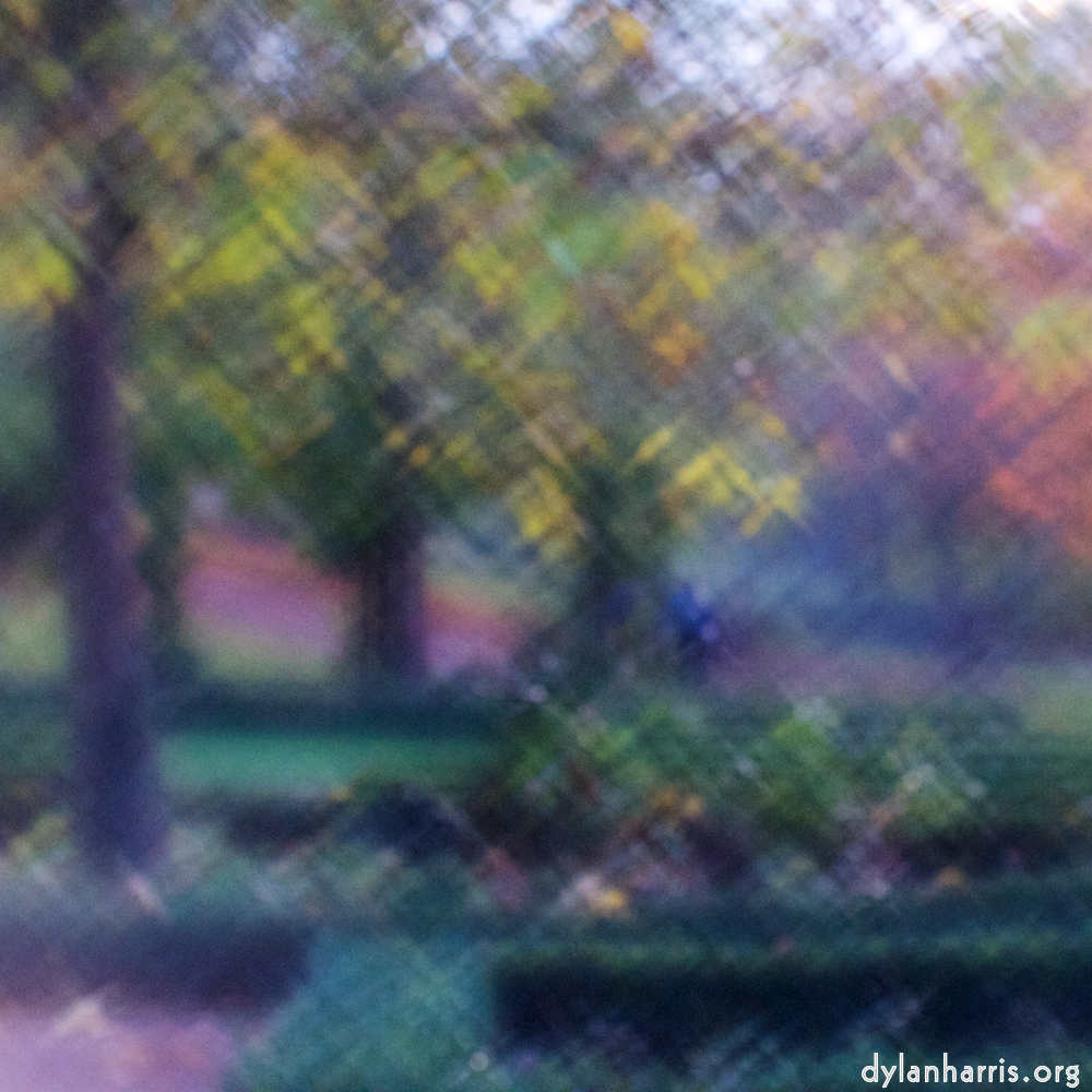 image: This is &lsquo;parc (xliii) 3&rsquo;.