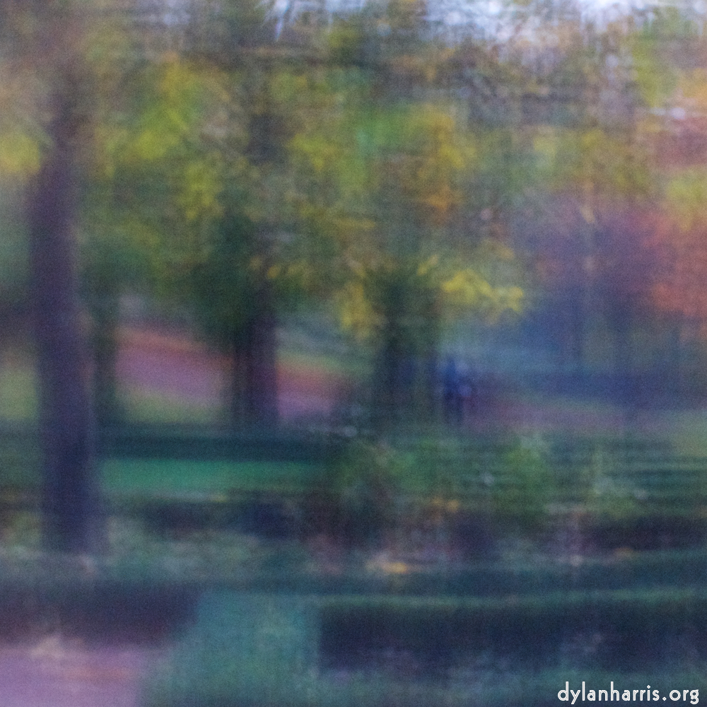 image: This is &lsquo;parc (xliii) 5&rsquo;.