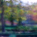 image: Image from the photoset &lsquo;parc (xliii)&rsquo;.