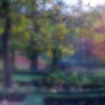 image: Image from the photoset &lsquo;parc (xliii)&rsquo;.