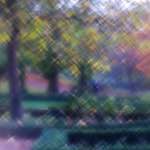 image: Image from the photoset &lsquo;parc (xliii)&rsquo;.