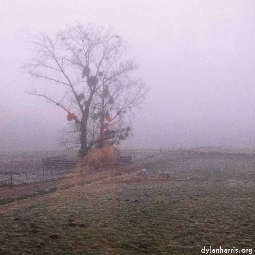 Image 'way to work B (iv) 1'.