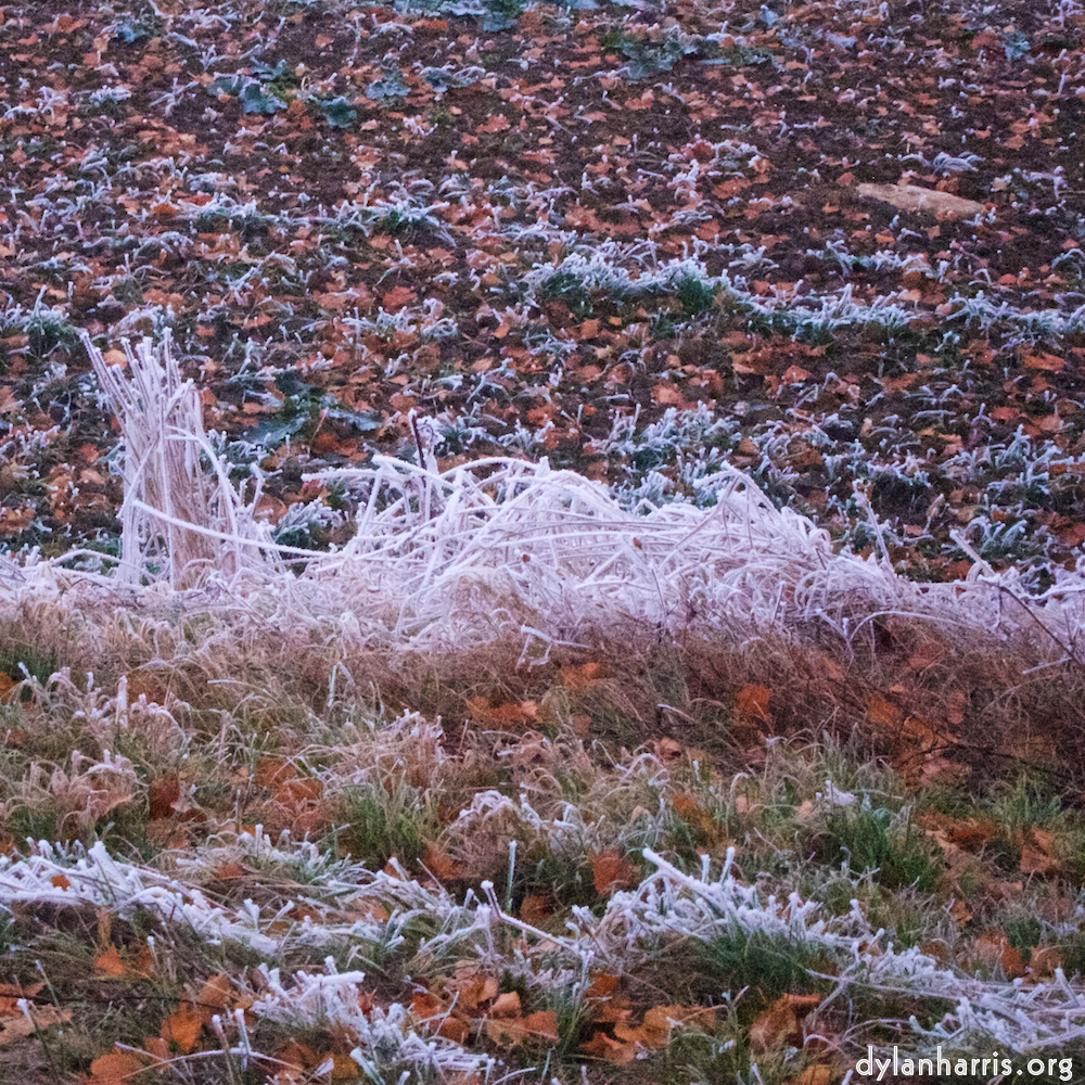 Image 'way to work B (iv) 4'.