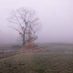 First image from the photoset 'way to work B (iv)'.