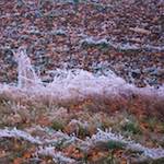 Fourth image from the photoset 'way to work B (iv)'.