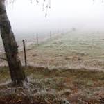 Fifth image from the photoset 'way to work B (iv)'.