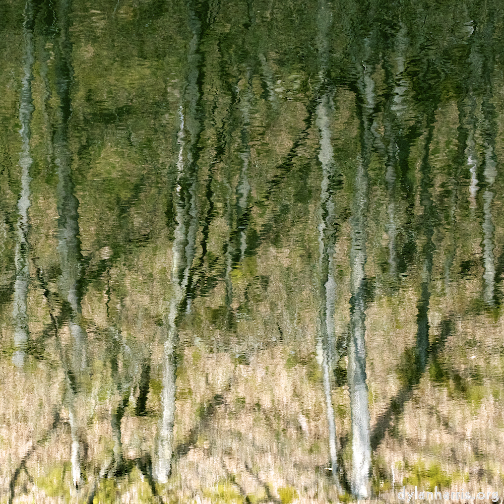 Image 'wood (xv) 1'.