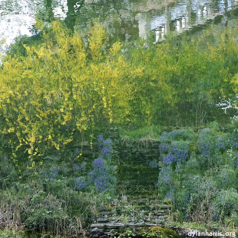 Image: Image 'wood (xv) 2'.