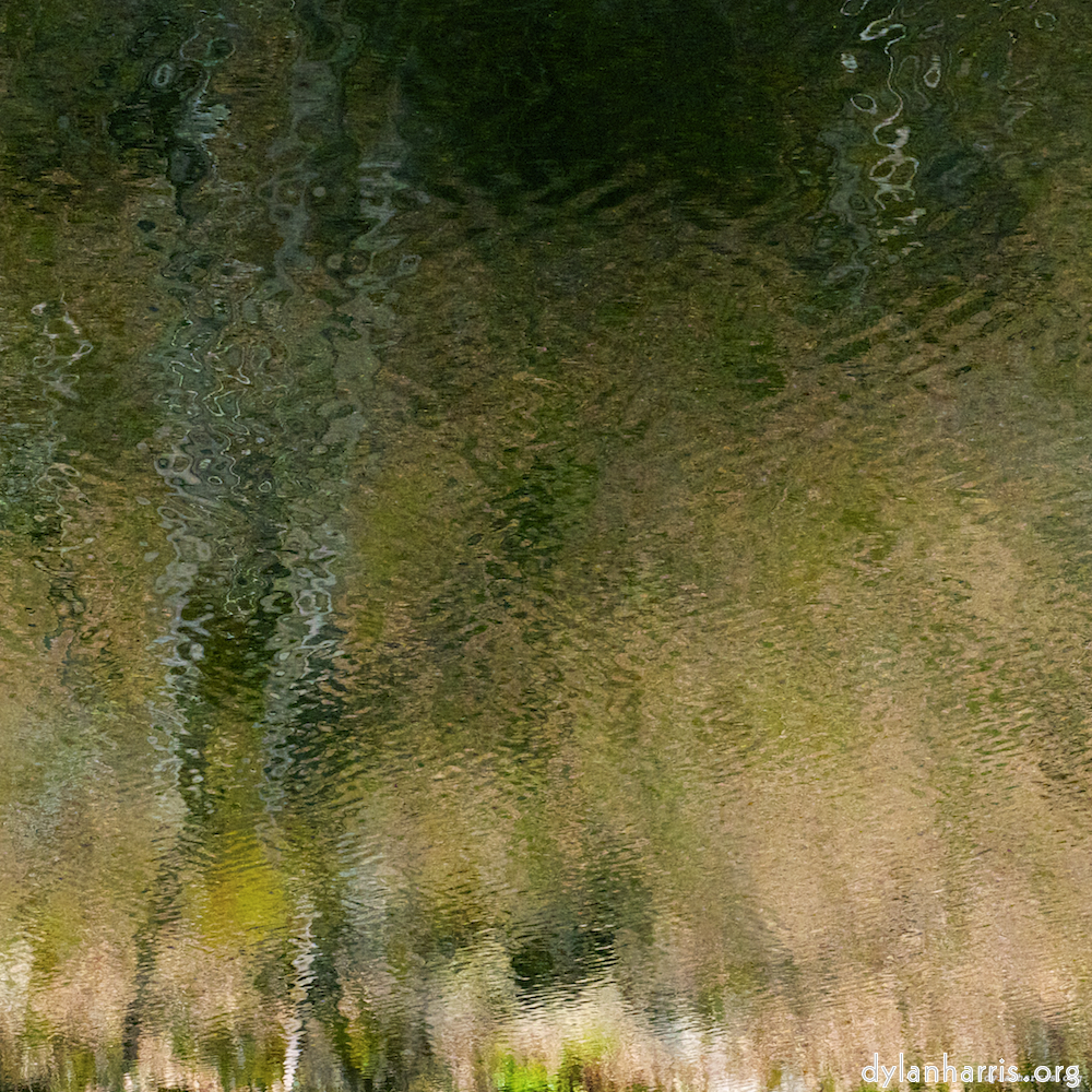 Image: Image 'wood (xv) 4'.