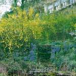 Image: Second image from the photoset 'wood (xv)'.