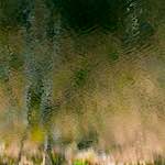 Image: Fourth image from the photoset 'wood (xv)'.