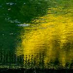 Image: Fifth image from the photoset 'wood (xv)'.