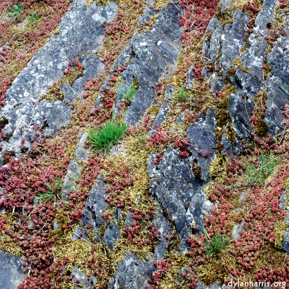 Image 'luxembourg (viii) 1'.