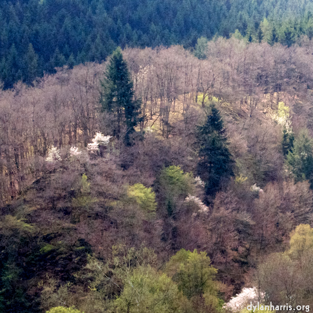 Image 'luxembourg (viii) 2'.