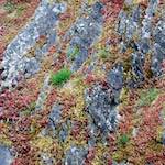 First image from the photoset 'luxembourg (viii)'.