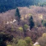 Second image from the photoset 'luxembourg (viii)'.