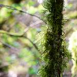 image: Image from the photoset &lsquo;terres rouges (xv)&rsquo;.