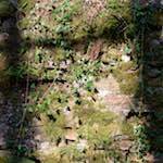 image: Image from the photoset &lsquo;terres rouges (xv)&rsquo;.