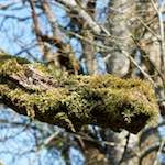 image: Image from the photoset &lsquo;terres rouges (xv)&rsquo;.