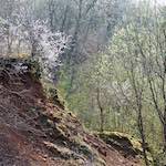 image: Image from the photoset &lsquo;terres rouges (xv)&rsquo;.