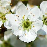 image: Image from the photoset &lsquo;terres rouges (xv)&rsquo;.