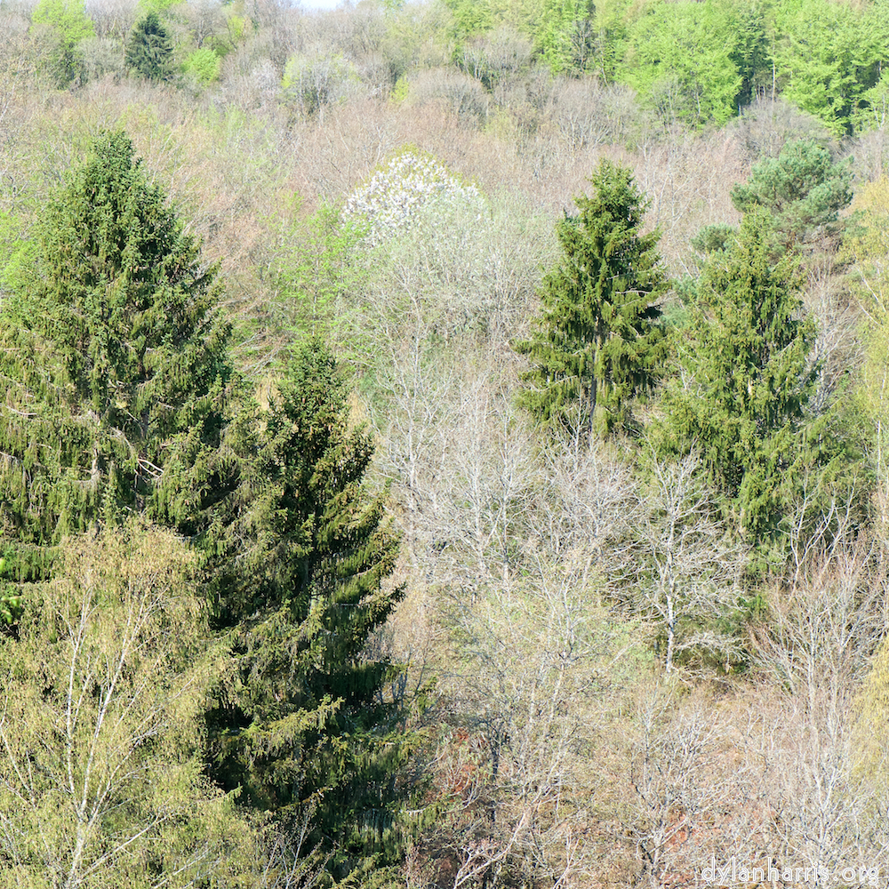 image: This is &lsquo;terres rouges (xvi) 5&rsquo;.