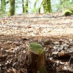 image: Image from the photoset &lsquo;terres rouges (xvi)&rsquo;.