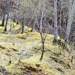 image: Image from the photoset &lsquo;terres rouges (xvi)&rsquo;.