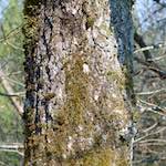 image: Image from the photoset &lsquo;terres rouges (xvi)&rsquo;.