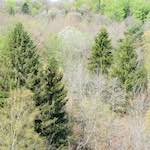 image: Image from the photoset &lsquo;terres rouges (xvi)&rsquo;.