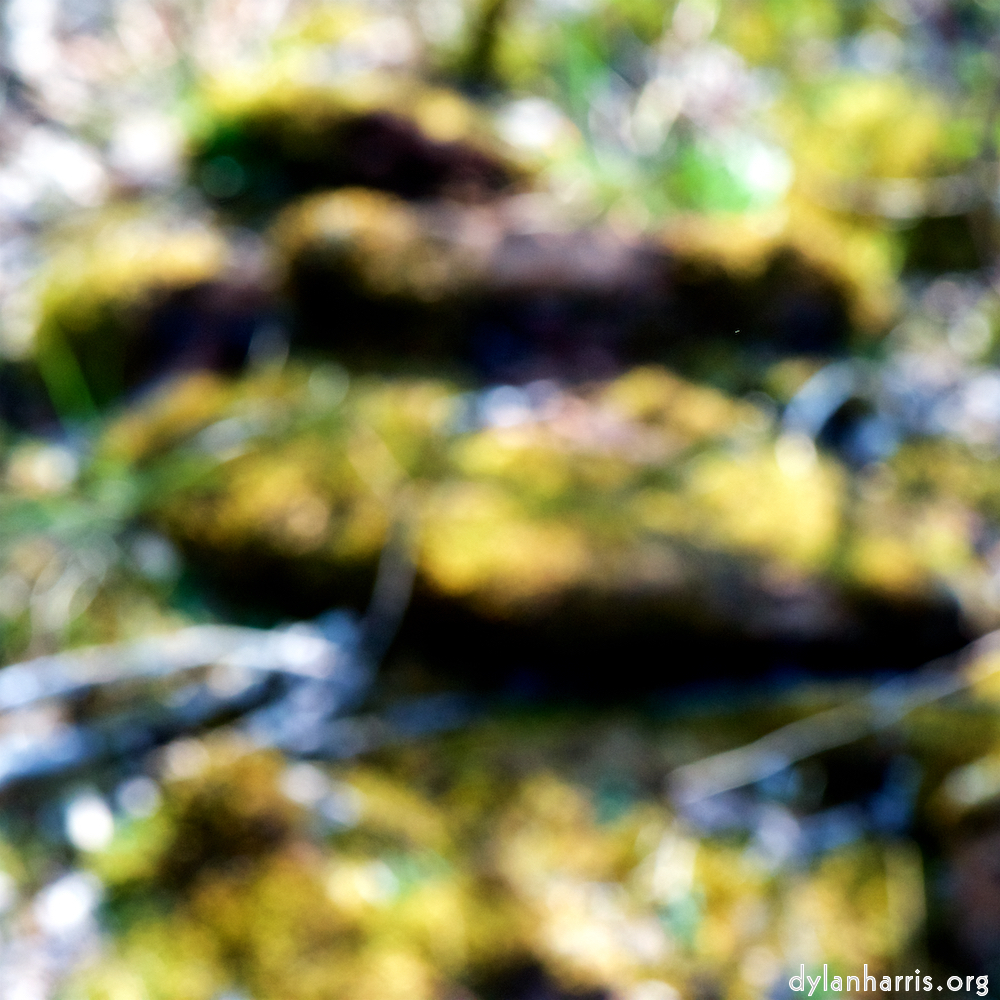 image: This is &lsquo;wood (xliii) 5&rsquo;.