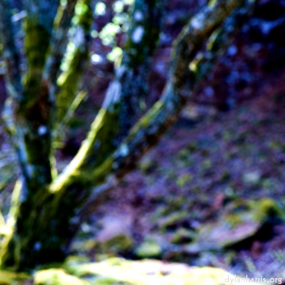 image: This is &lsquo;wood (xliv) 3&rsquo;.